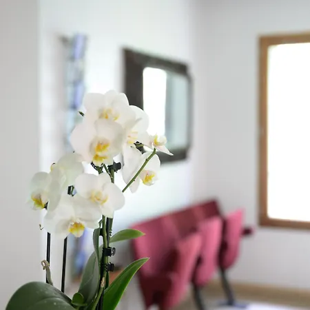 Appartement De La Soulondre