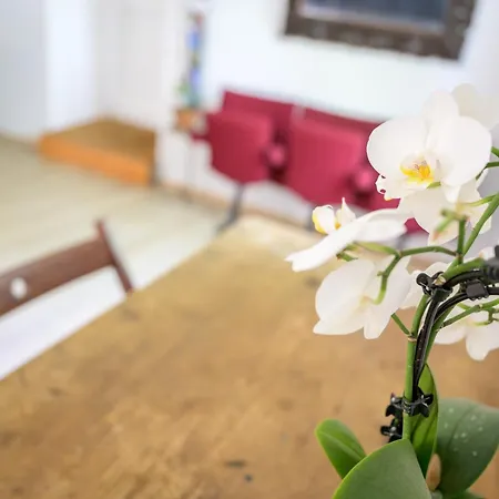 De La Soulondre Appartement Lodève
